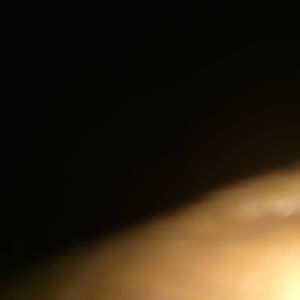 Meet your Posher, Gregory